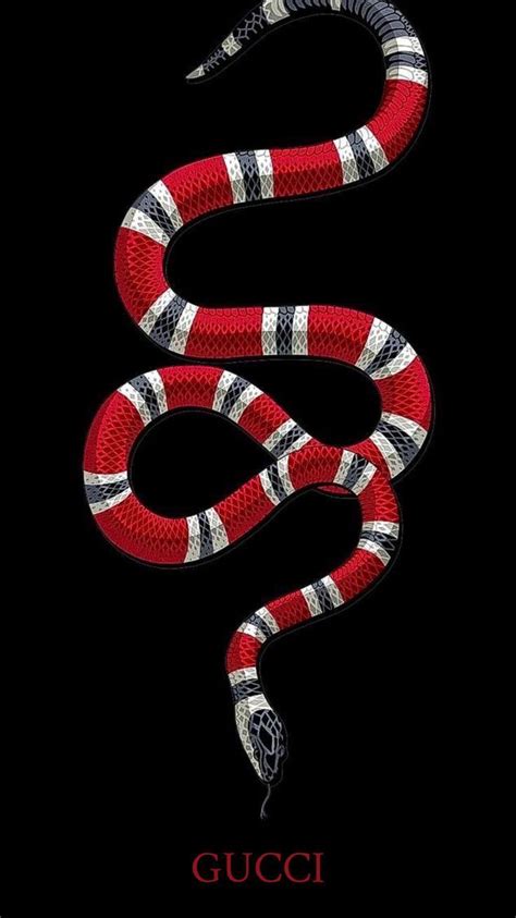 simbolo gucci che serpente|origin of gucci snake.